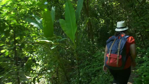 Travel to the Amazon