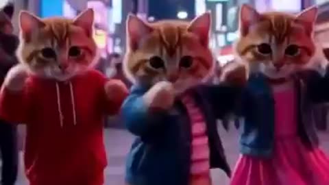 Ai cat video three cats dancing