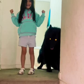 Are you brave enough to meet the Wolf?