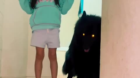 Are you brave enough to meet the Wolf?