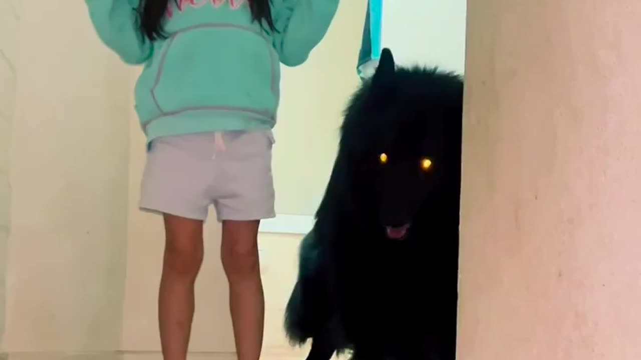 Are you brave enough to meet the Wolf?