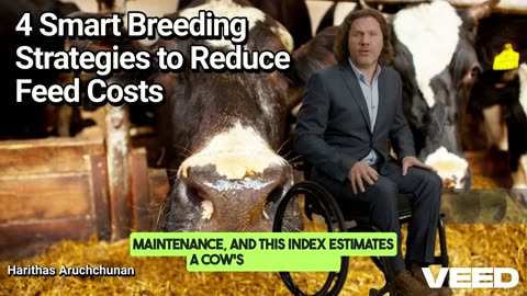 Smart Breeding Strategies to Reduce Feed Costs