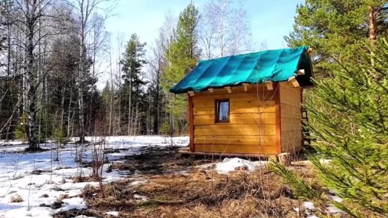 Hardline Lofi Study Mix