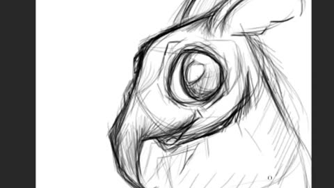 Digital Art - Cartoon Shrew