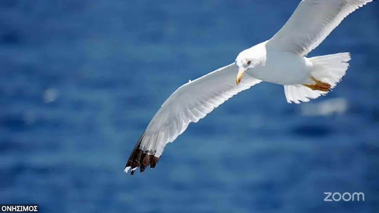 Ὁ Κύριος δέν δέχθηκε τήν ἔνσταση ΔΕΝ ΞΕΡΑΜΕ. Μέ τίς ταυτότητες εἶναι τό ἴδιο; Εἰδωλόθυτα τί ἐστί;