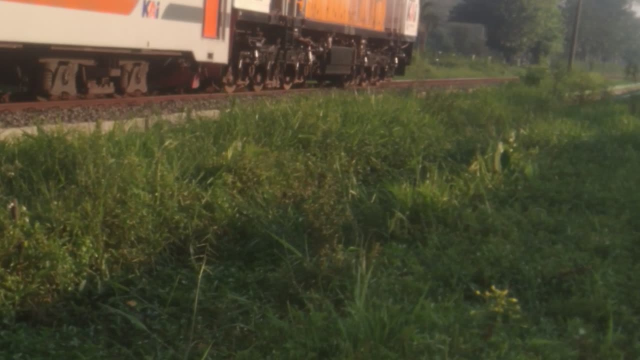 Track Is Clear And Green