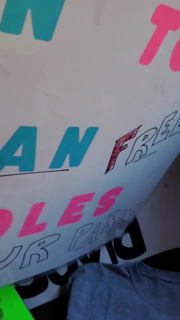 PROTESTING IN CHICO - A BRIEF LOOK AT MY SIGNS!