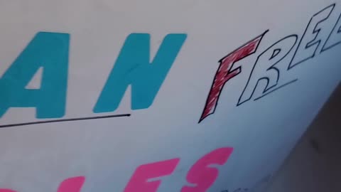 PROTESTING IN CHICO - A BRIEF LOOK AT MY SIGNS!