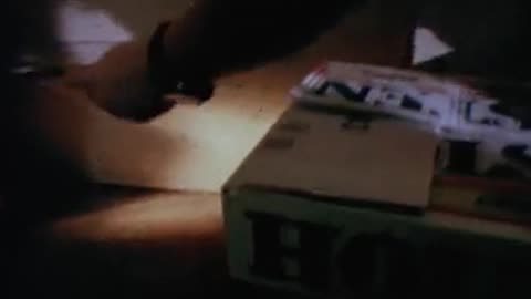 73. Sherlock Bones: Undercover Dog