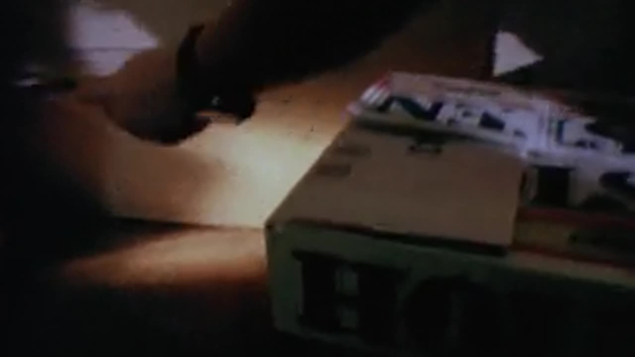 73. Sherlock Bones: Undercover Dog