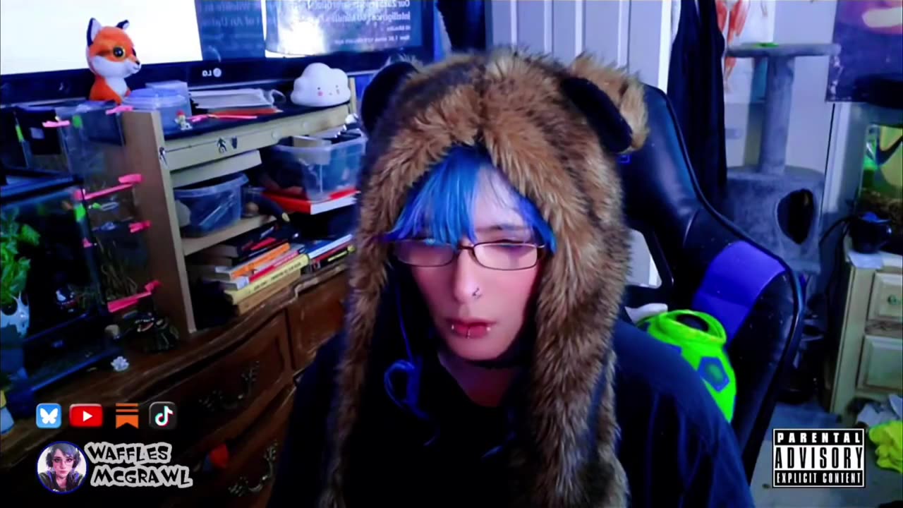 Waffles McGrawl Reports