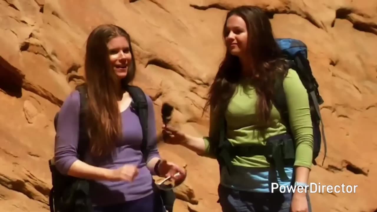 127 Hours Movie Explained in Hindi | Real Life Survival Story