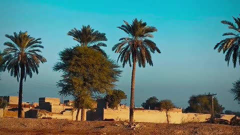 My Village ❤ Beautiful View #maxrecords #villagelife #larkana #sindh #pakistan