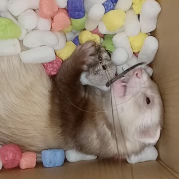 So tired...but..must..keep..playing