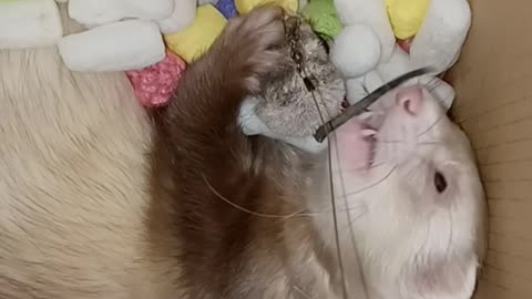 So tired...but..must..keep..playing