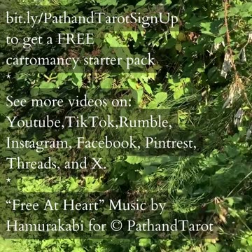 Trust What You Have Become | Path and Tarot Reading