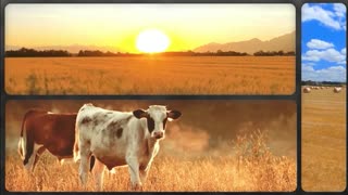 Trent Loos in the Morning 5/13/2025