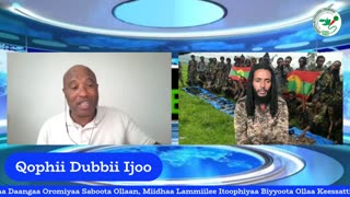 Qophii Dubbii Ijoo ONM-ABO Fulbaana 1-2025 itti dhiyaadhaa!
