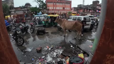 NÃO ESPERAVA PASSAR POR ISSO NA INDIA 🇮🇳
