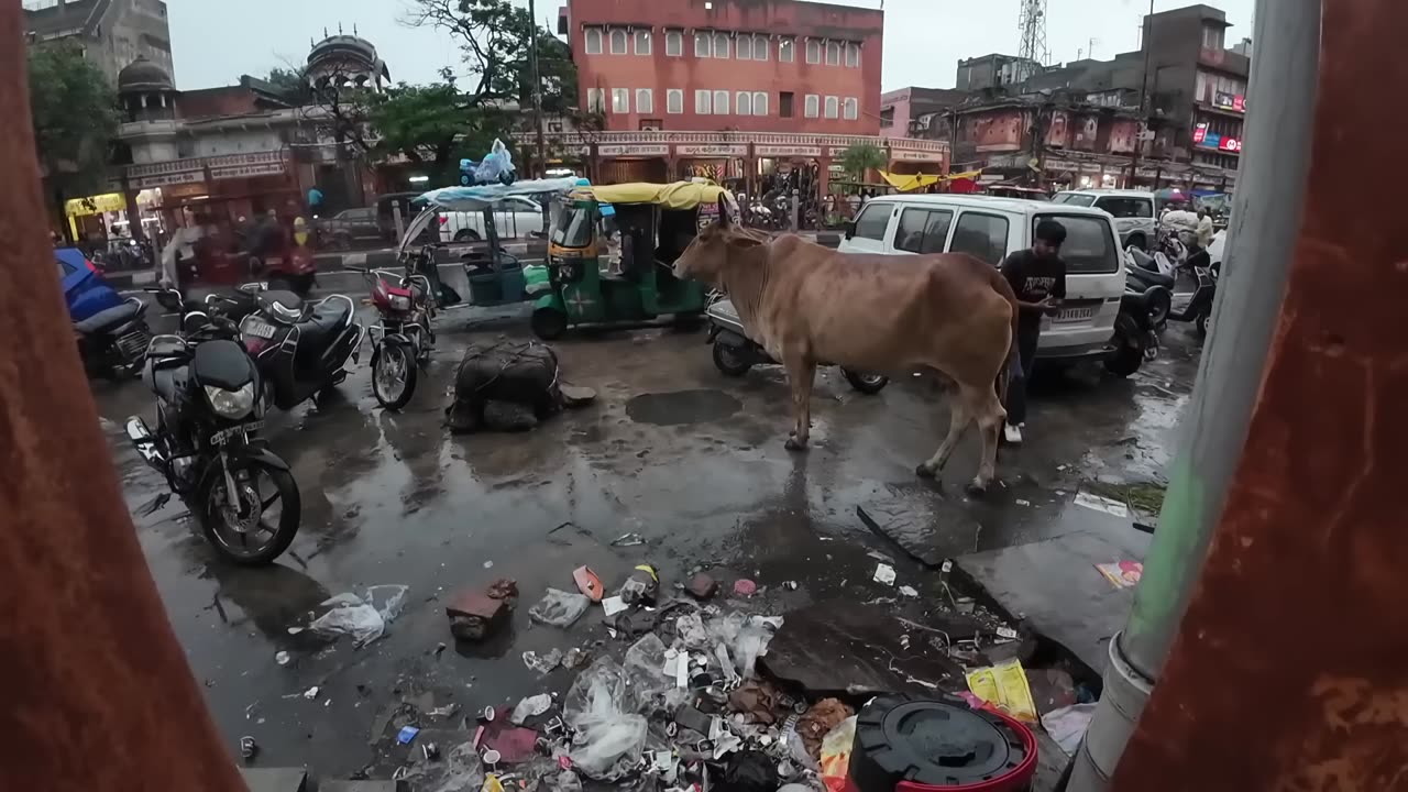 NÃO ESPERAVA PASSAR POR ISSO NA INDIA 🇮🇳