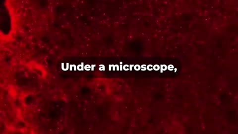 A biological ‘brain-box’ made of 200,000 real human neurons exists right now.