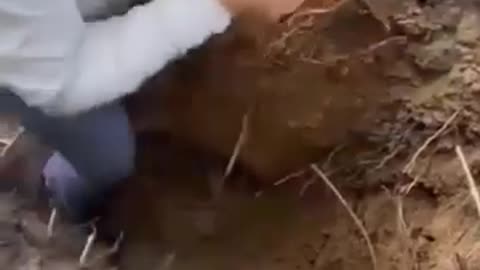 What happened here?
