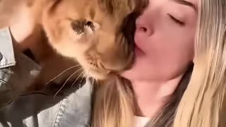 This couple rescued an injured lion cub and raised him with love