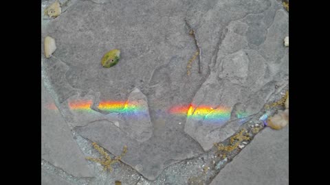 I Delight to do Your Will