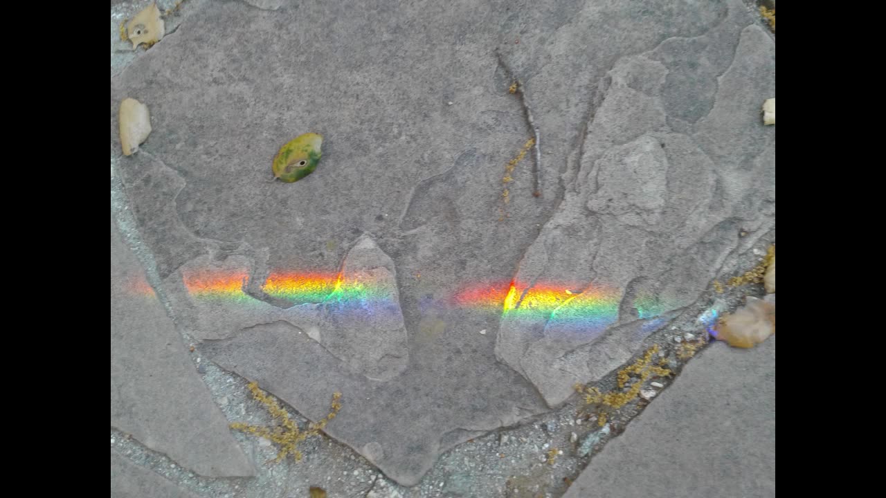 I Delight to do Your Will