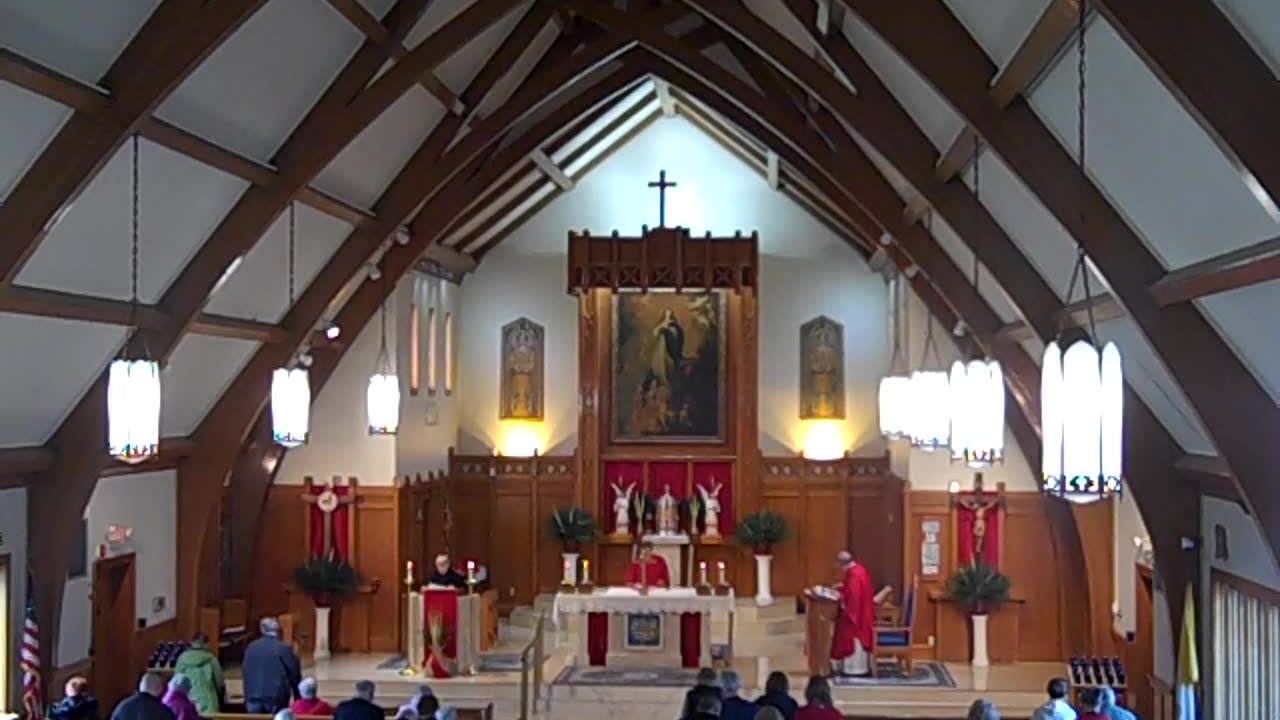 Palm Sunday Vigil Mass 041225AD 6th Sunday in Lent