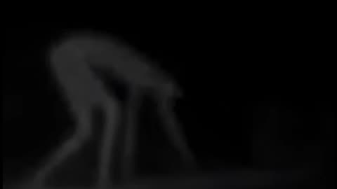 Try not to get scared 😱 #shorts