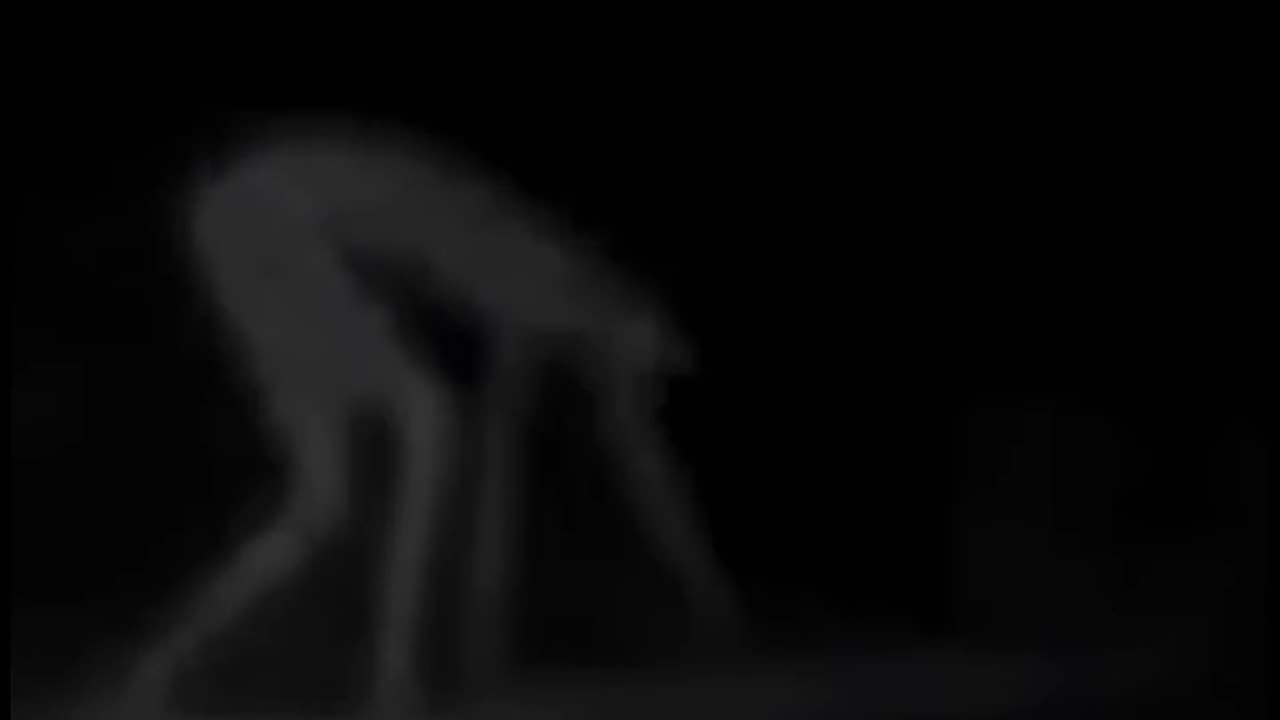 Try not to get scared 😱 #shorts