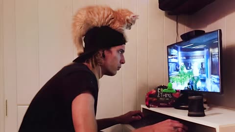 No one warned me cats are clingy monsters 😤