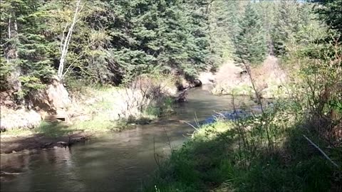 South Dakota Claims June 2013