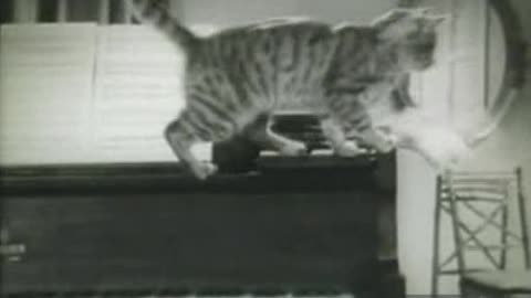 Commercial - Elmers Glue 1960s B-W