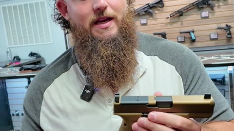 Iron Sights Made For a Dot?