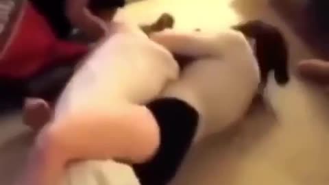 😱💪 When Your Girlfriend Does BJJ and Shows No Mercy! | FCN