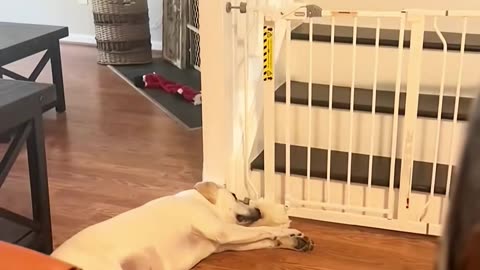 💡✨ A Clever Hack You'll Wish You Knew Sooner | LifeHacksDaily