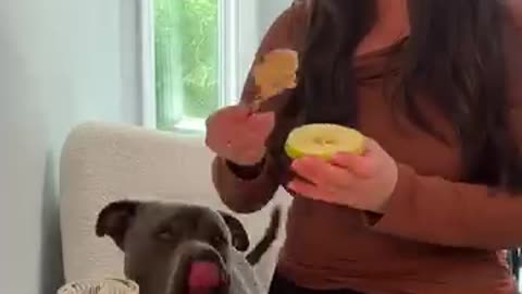 Apple Peanut Butter Bites 🍏 that you can share with your dog
