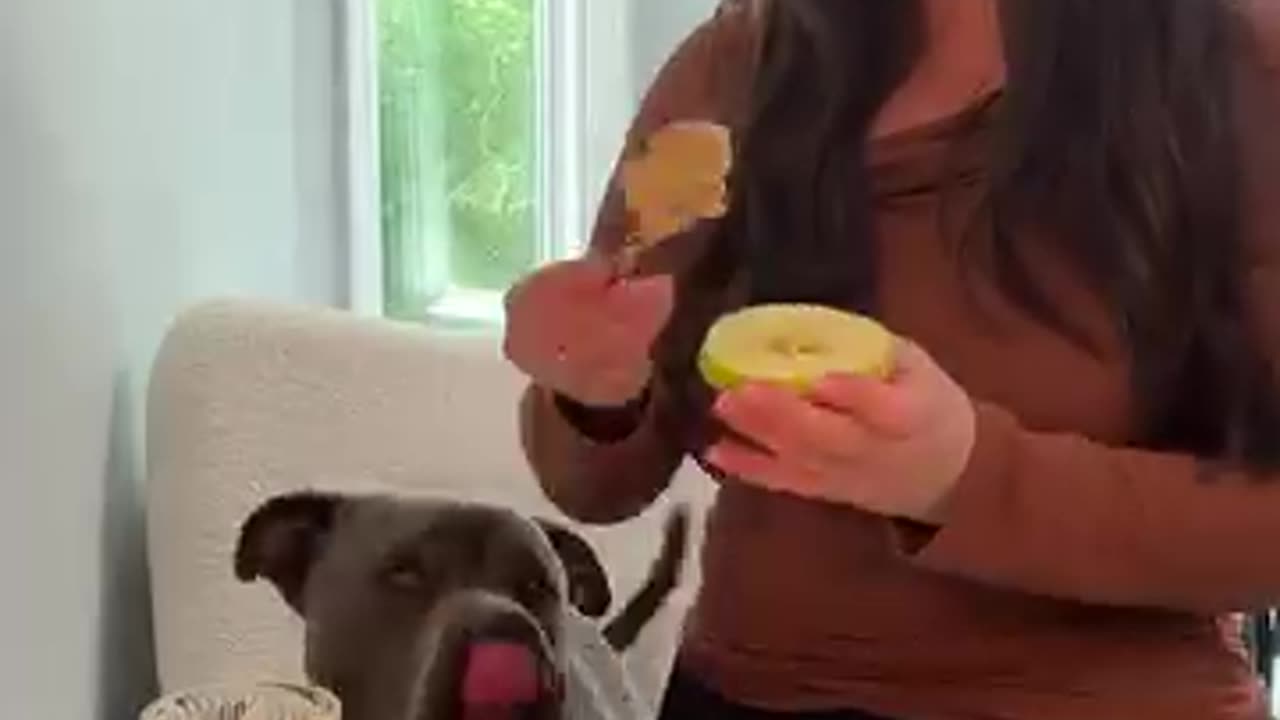 Apple Peanut Butter Bites 🍏 that you can share with your dog