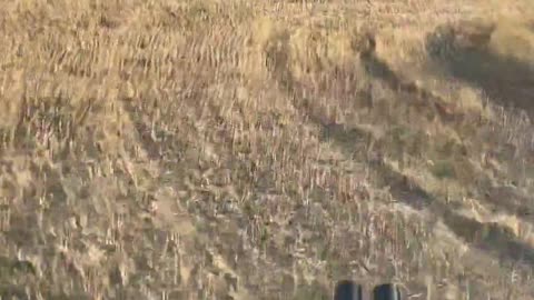 🚁🇺🇦 Ukraine Russia War | Hind Helicopter Patrols Ukrainian Skies | RCF