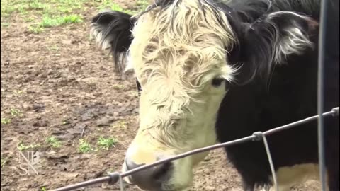 Cranberry, NJ to seize a 175 year old family farm to build affordable housing