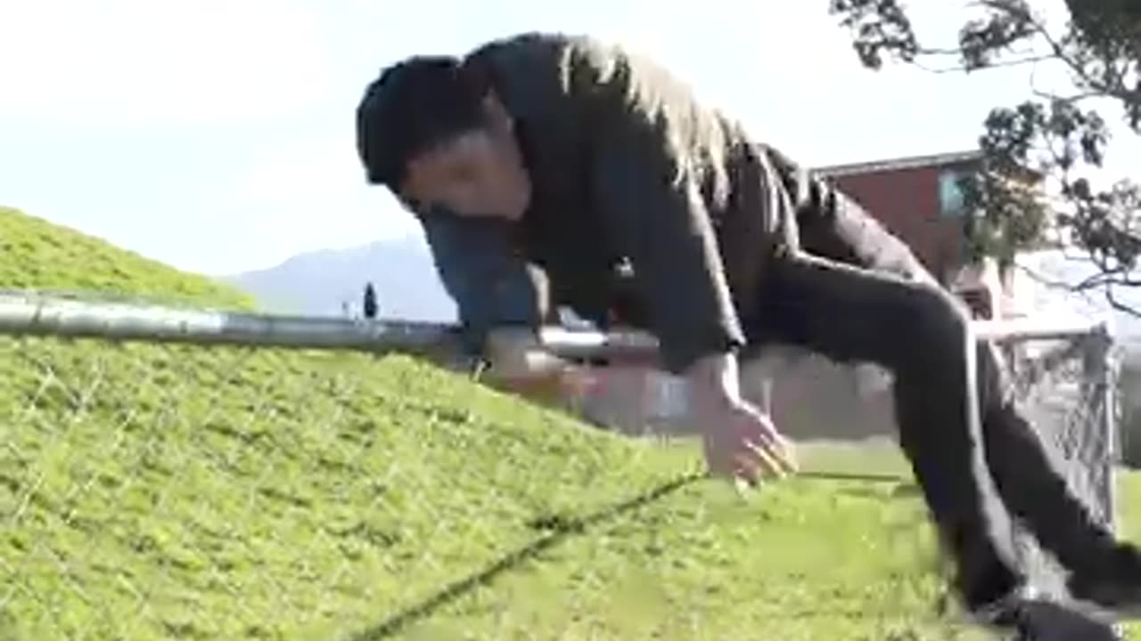 IF HUMANS WAERE AN ANIMAL