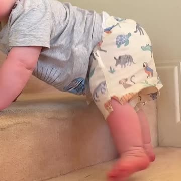 Spencer's Big Win: One Adorable Wobbly Roll to Piper's Rug Party! ||