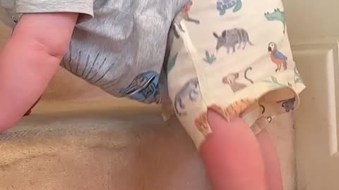 Spencer's Big Win: One Adorable Wobbly Roll to Piper's Rug Party! ||