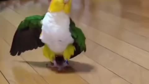 🤣🤣🤣