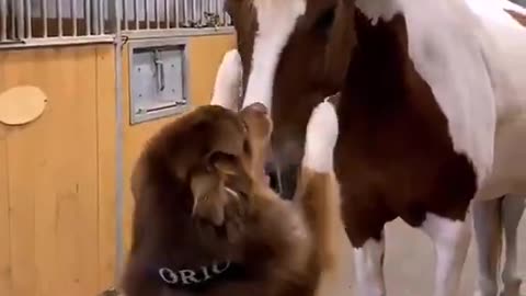 Just Frens