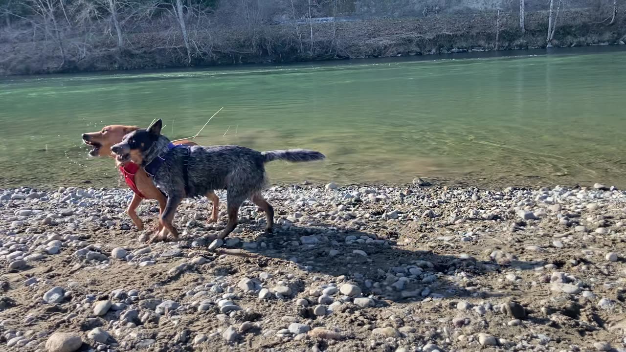 old mac stream patrol 2940823049820498