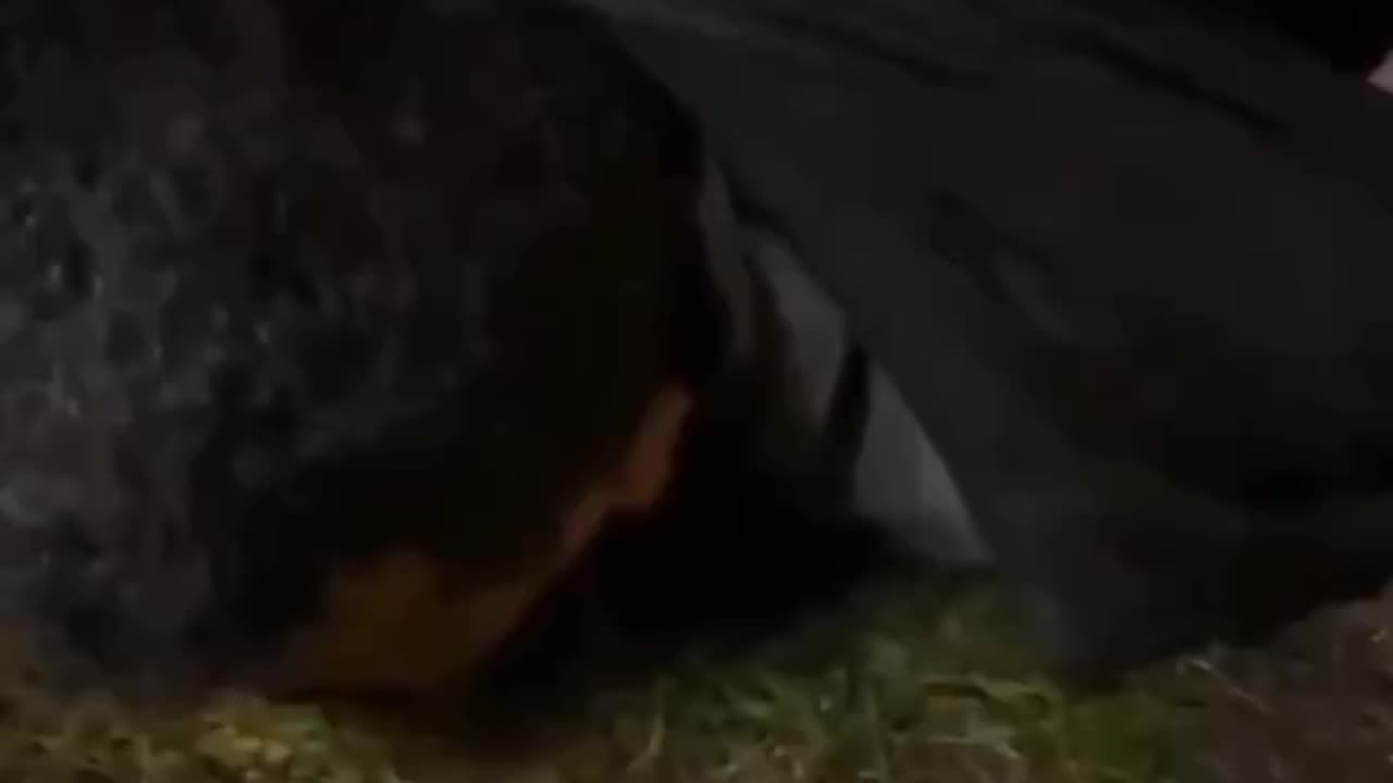 Yet another Islamic pedophiIe captured by British patriots.