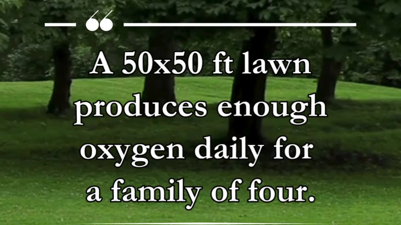 A 50x50 ft lawn produces enough oxygen daily for a family of four.